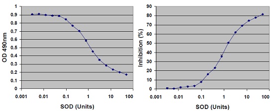 スーパーオキシドジスムターゼ(Superoxide Dismutase)活性測定キットの使用例