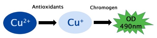 Cu(Ⅱ)からCu(Ⅰ)への還元反応