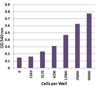 異なる細胞密度で培養したHEK293細胞における細胞増殖モニタリング結果