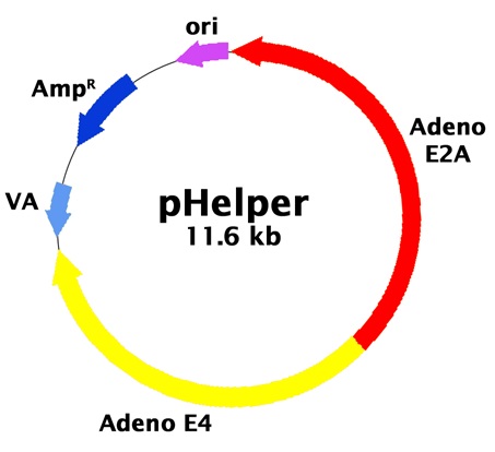 pHelper Vector Map