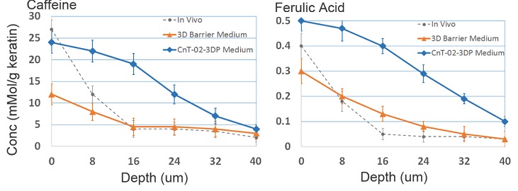 3次元表皮モデルの局所に カフェイン（親水性）とフェルラ酸（親油性）を滴下した際の浸透の比較