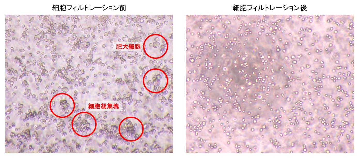 96 wellマイクロプレートメッシュシール使用前後の細胞状態の比較