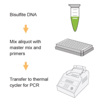 EpiQuik Quantitative PCR Fast Kitの操作法概略