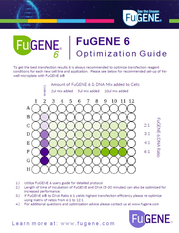 FuGENE® 6 Optimization Guide