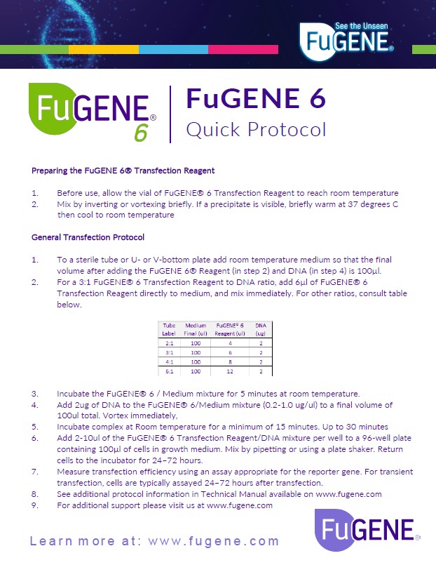 /FuGENE® 6 Quick Protocol