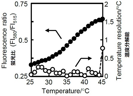 MOLT-4細胞での蛍光波長と温度分解能