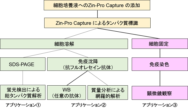 Zin-Pro Captureのアプリケーション例