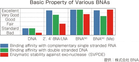 BNANCを含むオリゴヌクレオチドのbinding affinity