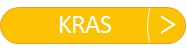 抗KRAS / HRAS / NRAS抗体