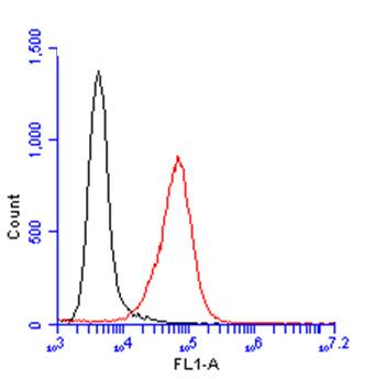 Glypican-1抗体FCM