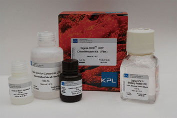 SignaLOCK AP / HRP ChemiWestern Kit