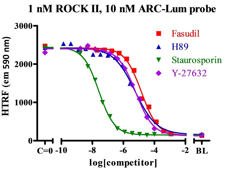 ARC-Lum/Fluo Protein Kinase Assay Kits  