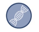 遺伝学的戦略による検証（Genetic Strategy Validation）