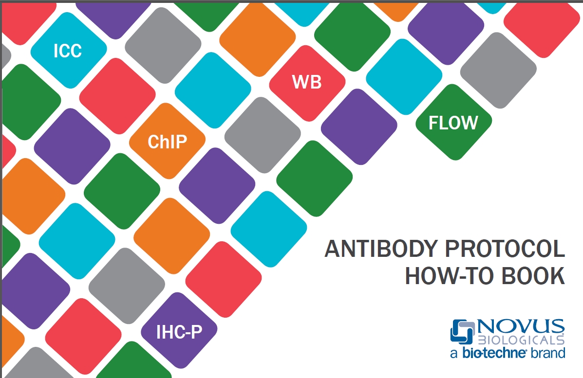 Antibody Protocol How-To Book