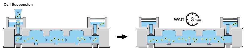 細胞懸濁液をデバイスの片側から注入する図