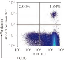 抗原特異的CD8陽性キラーT細胞検出「Pro5 MHC Class ⅠPentamer」の染色図2