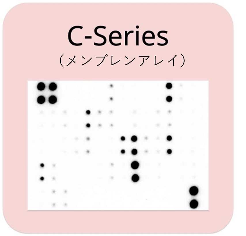 C-Series検出イメージ例
