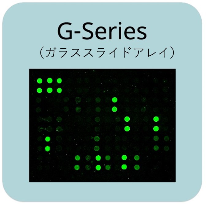 G-Series検出イメージ例