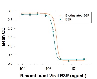 Viral B8R Biotinylated Protein組換え体(リコンビナント)タンパク質 | Recombinant Viral B8R Biotinylated Proteinの使用例