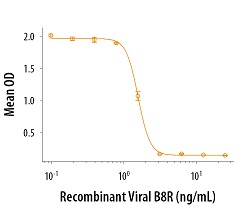 組換え体ウイルス B8Rの使用例2