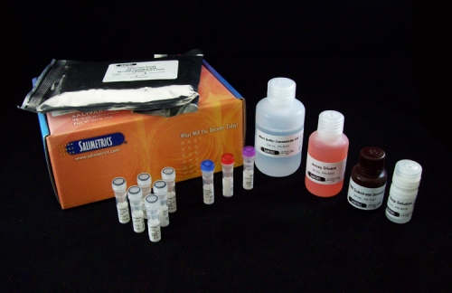 唾液中のコルチゾールを定量・測定するキットCortisol Salivary Immunoassay Kit の外観