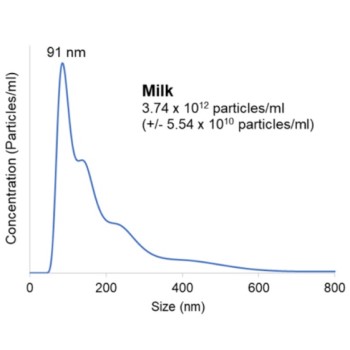 母乳由来の精製エクソソームの粒子サイズ分布