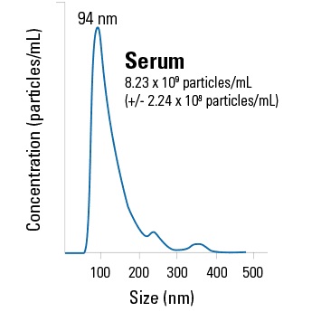血清由来の精製エクソソームの粒子サイズ分布
