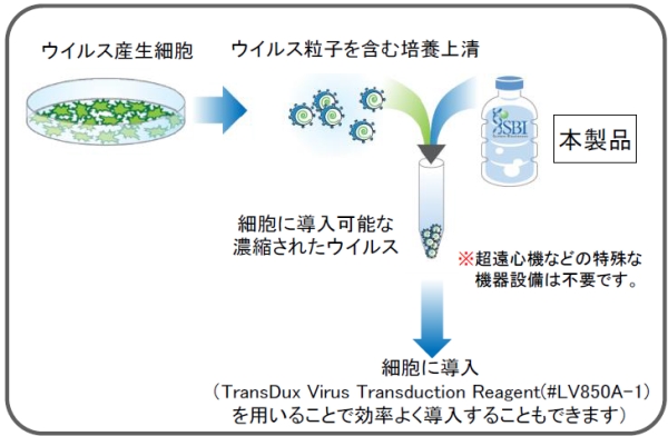 ウイルス濃縮の操作法概略