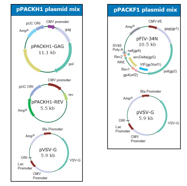 pPACKH1 pPACKF1 Packaging Plasmid Mix