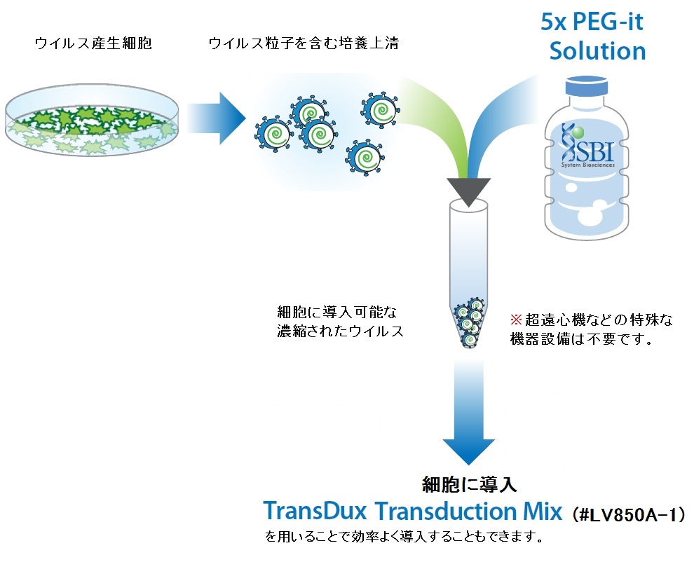 TransDuxとPEG-itを使用した操作イメージ