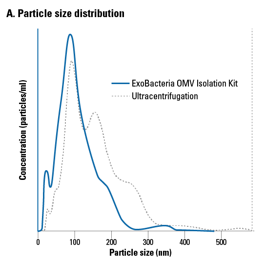 E. coli由来OMVの粒子径分布の比較