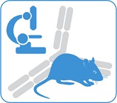 Antibody for Mouseボタン
