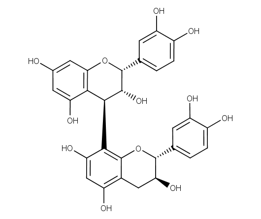 Procyanidin B1