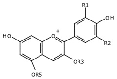 アントシアニジン類と配糖体　構造式