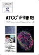 ATCC  iPS細胞カタログ（ ACC ： ATCC / American Type Culture Collection／#6799）