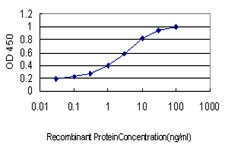 Sandwich ELISA (Recombinant protein)<br/>Detection limit for recombinant GST tagged PLAG1 is approximately 0.03ng/ml as a capture antibody.
