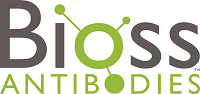 Bioss Antibodies