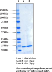 product image (CAS 9037-90-5)