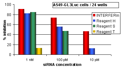 INTERFERinでGL3Luc を発現する A549 細胞に GL3Luc に対する siRNA を導入