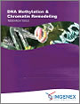 DNA Methylation & Chromatin Remodeling RESEARCH TOOLSフライヤー