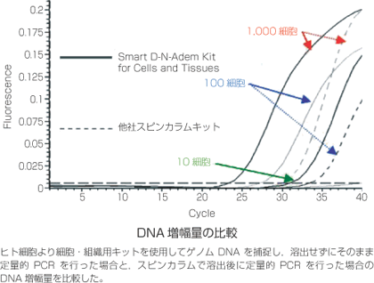 ヒト細胞からのDNA増幅量の比較