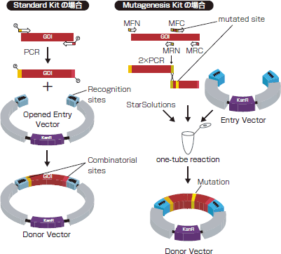 Entry Reactionの操作法概略イメージ