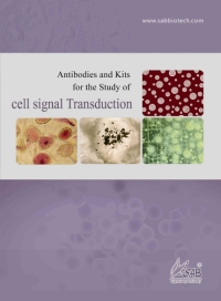 Signalway Antibody社 「Cell Signal Transductionミニカタログ」
