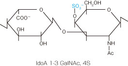 高品質なヒアルロン酸オリゴ糖 Hyaluronic Acid Oligosaccharide
