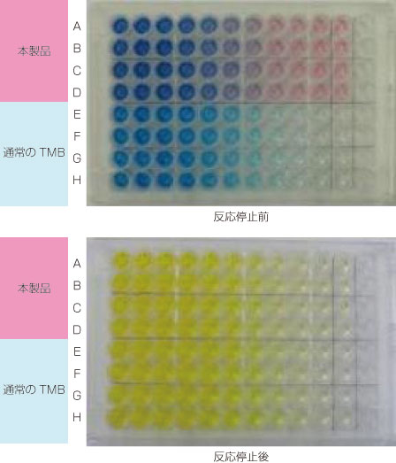 HRP標識二次抗体とTMB Prestained Red の使用例