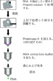 Pinpoint Slide RNA Isolation System