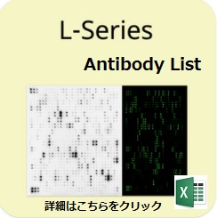 RayBio Biotin Label-Based Antibody Array（L-Series）抗体リスト