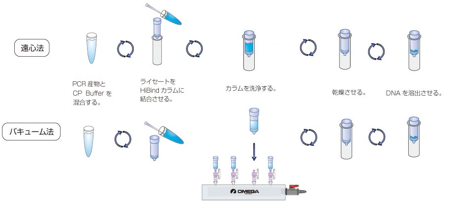 PCR産物を15分以内に精製できるキット Cycle-Pure Kitシリーズ フナコシ