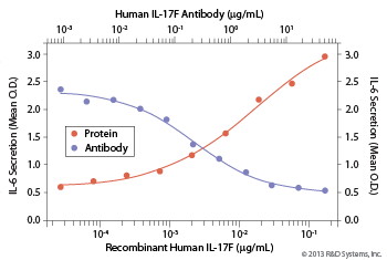 Mouse Anti-Human IL-17F Monoclonal Antibody 