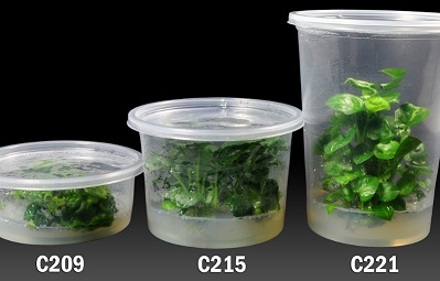 オートクレーブ可能な植物育成用容器 | PhytoCon Culture Vessel